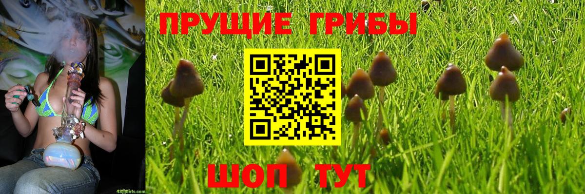 Псилоцибиновые грибы прущие грибы Каменка
