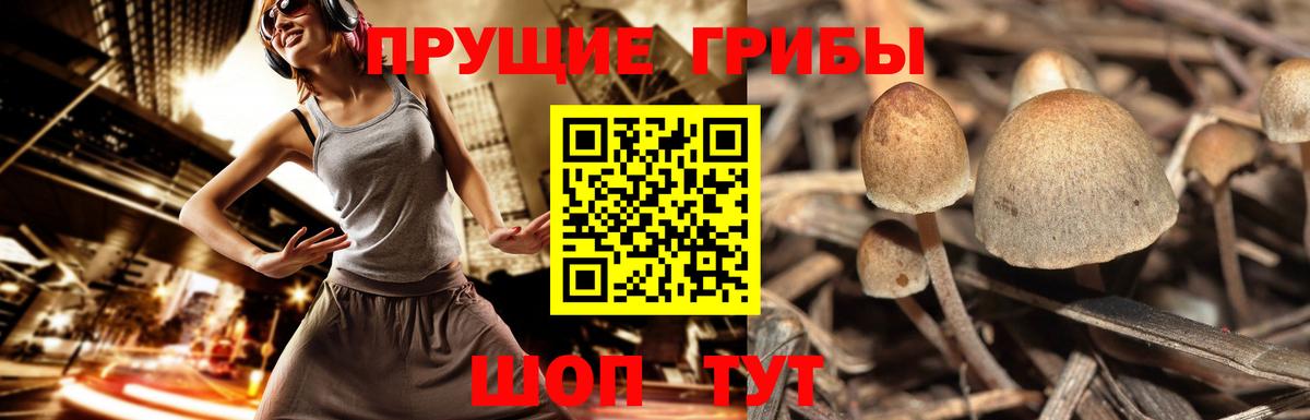 цены   Псилоцибиновые грибы мухоморы  Вход с VPN  Каменка 
